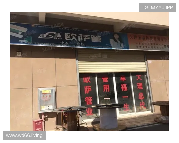 五洲国际商贸城:打造全球领先的商贸交流平台